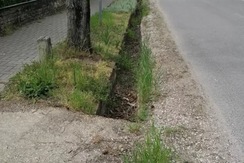 Csapadékvíz-elvezető árkok rekonstrukció